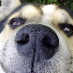 Meet your Posher, Hailey